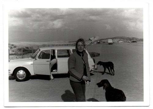 Foto frau mit hunden typ - hunden, vw