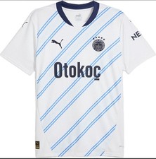 Fenerbahce Istanbul Auswärts