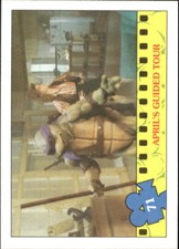 A5053- 1990 Teenage Mutant