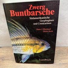 Zwergbuntbarsche Südamerika