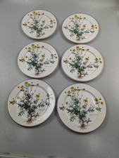 6 x Villeroy und Boch Botanica