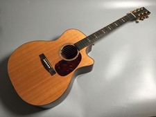 Martin GPCPA1 Plus Used