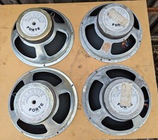 McKenzie Forte 12 Zoll