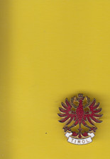 Aus Sammlung: Anstecknadel Anstecker - Tirol Tirolo Wappen Adler