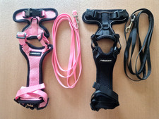 2x Katzengeschirr mit Leine Brustgeschirr für Katze verstellbar ausbruchsicher