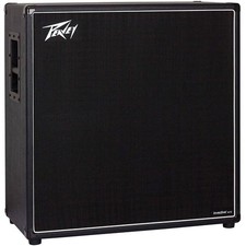 Box E-Gitarre Peavey Invective