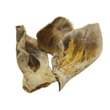 Pferde-Ohren mit Fell -