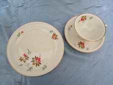 Sammeltasse 3 tlg. Rosenthal Selb Bavaria "Winifred"  florales Dekor von 1934