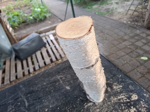 Deko holz birke ast basteln - ast,