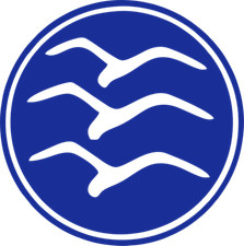 C-Abzeichen für Segelflieger