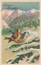 Künstler-AK   Neujahr -  Vogel - 2 Vögel im Winter- Verlag: Serie 3750