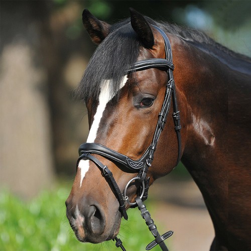 Kavalkade trense ivy - trense,