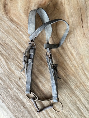 Trense alte pferdetrense mit - alte,