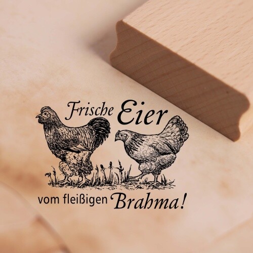 Motivstempel frische eier - eier, vom