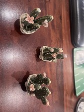 Porzellan Kaktus Statue, Dekofigur, Dekoration