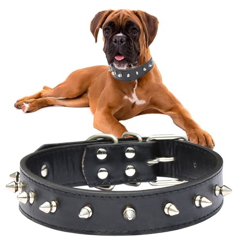 Hundehalsband 60 cm - l,