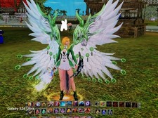 Shaiya 80Max Defender PvP Set Mit Schmuck 