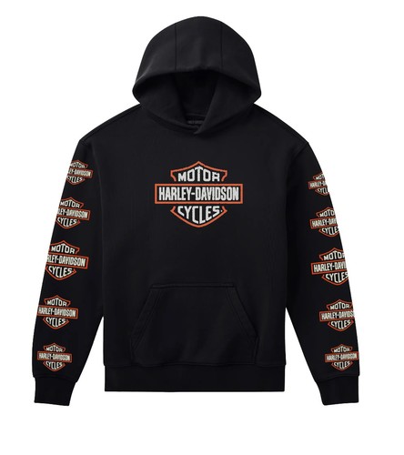 Harley davidson hoodie state - hoodie,