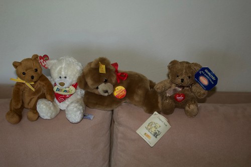 Teddy bär konvolut - -,