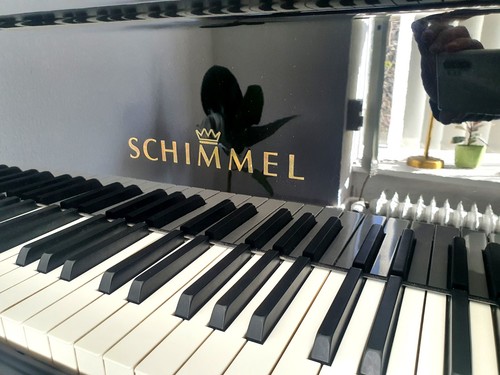 Schimmel flügel 182cm 1999 - 182cm,,
