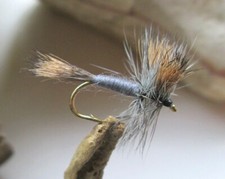  Gilchrist Fliegen . 3 x