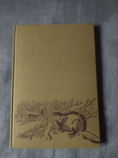 Walter Bauer - Der weisse