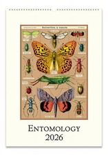 Cavallini - Wandkalender 2026 13 x 19 Zoll - Entomologie/Motten/Schmetterlinge/Insekten