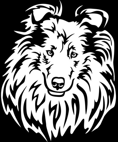 Collie aufkleber - aufkleber,