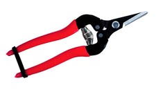 ARS Trauben/Ernteschere 300SS