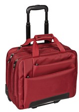 Dermata Trolley Business Case