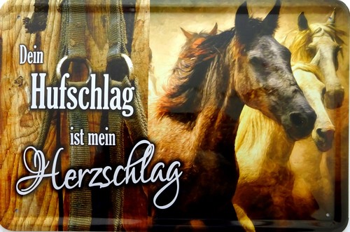 Blechschild schild 20x30 - schild,