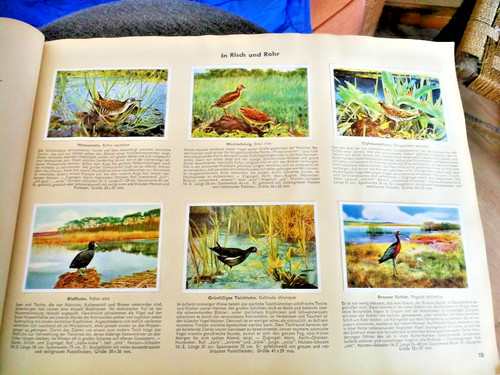 Sammelbilderalbum aus - sammelbilderalbum,