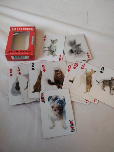Kikkerland katzen poker - katzen,
