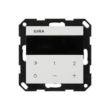 Gira 232027 Unterputz-Radio IP