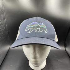 Patagonia Fitz Roy Bear Hat