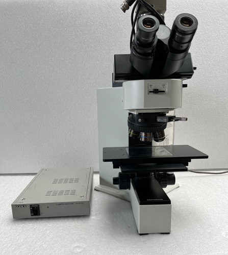 Olympus bx60mf5 - olympus,