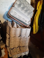 Eierkartons Eierpappen Eierlagen Eierhöcker Eierwaben Eierverpackung 50st