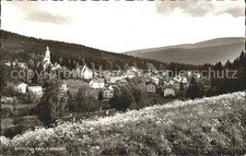 Bayrisch Eisenstein Panorama