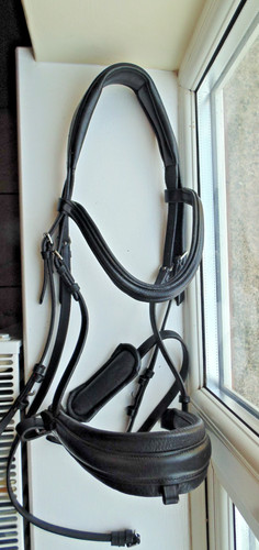 Customized anatomical flash - sd,