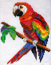 Mini Stecksystem Papagei ca