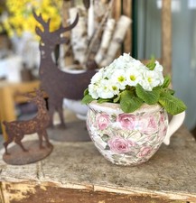Pflanztasse blumentopf - pflanztasse,