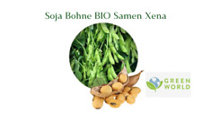 Soja Bohne BIO Samen Xena Frühe Ernte gentechnikfrei