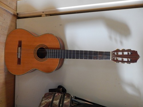 Kasuga gitarre - kasuga,