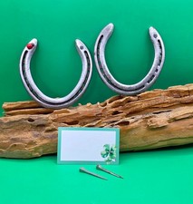 1 schönes Hufeisen mit 1