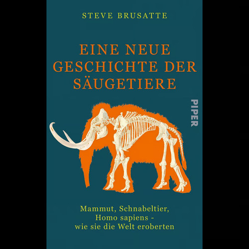 Eine neue geschichte der - neue,