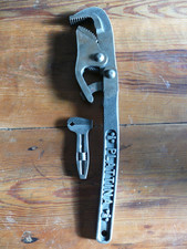 Engländer Plattina 4 groß