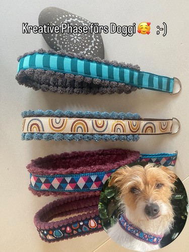 Hundehalsband zugstopp neu - hundehalsband,