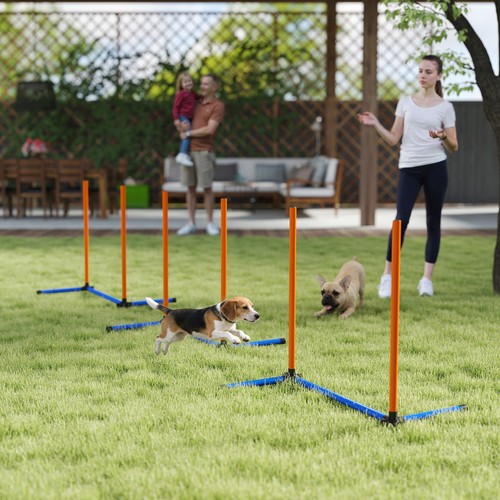 Pawhut agility set hunde - pawhut,