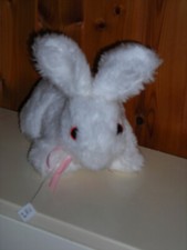 Weißer liegender Hase