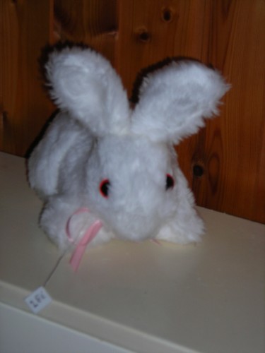 Weißer liegender hase - liegender,